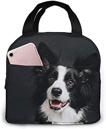 Lunch Bag Young Border Collie  - огляд і ціна Women'S Young Bags