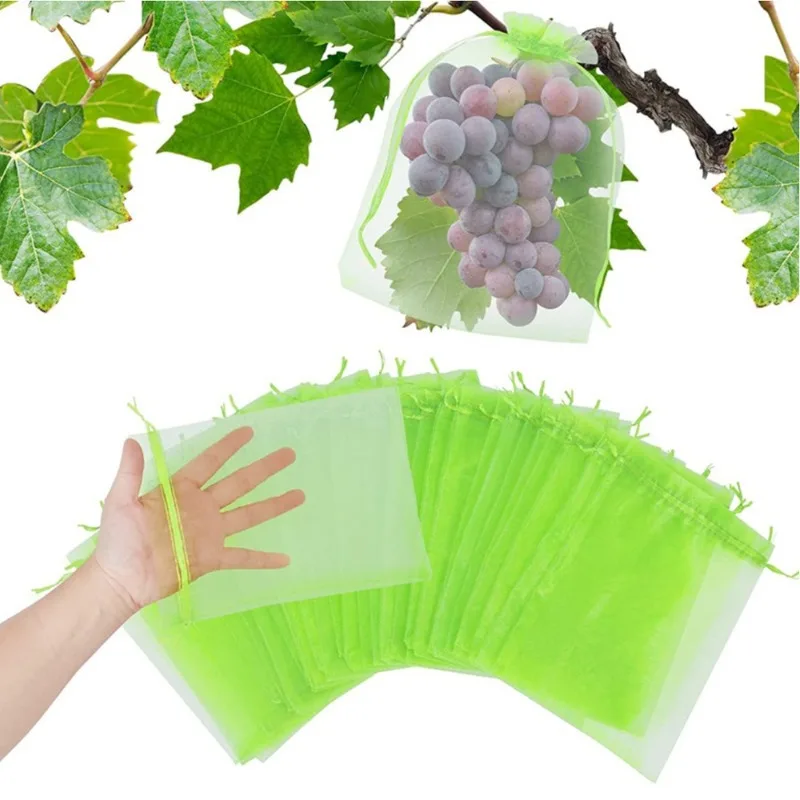 50pcs 20x30cm Fruit Protection - огляд і ціна Mesh Net Bag